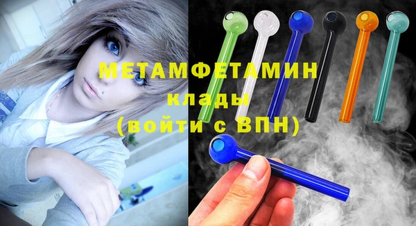 индика Осинники
