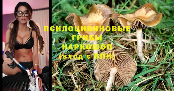 шишки Алзамай