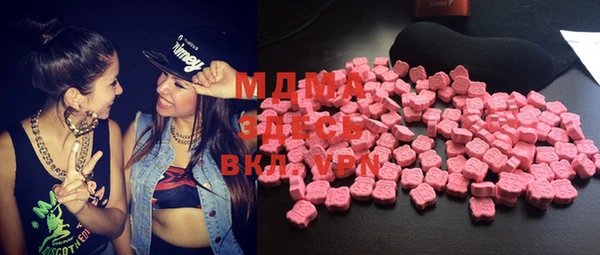индика Осинники