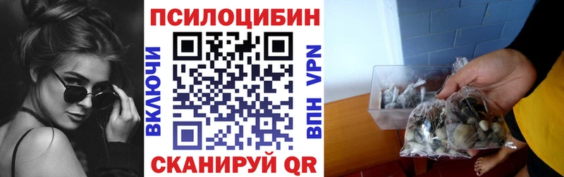 Псилоцибиновые грибы мухоморы  Дубна 