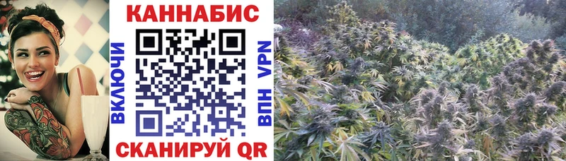 Каннабис Ganja  Дубна 